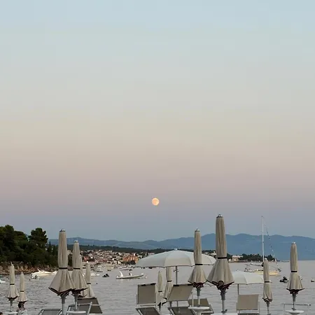 Appartement Tea Katnic *